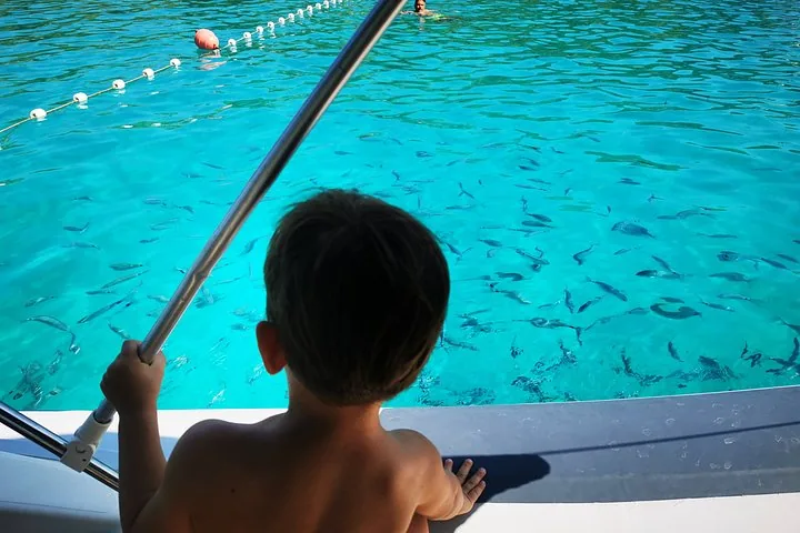 Ein Kind beobachtet vom Boot aus Fische, die im klaren blauen Meer schwimmen.